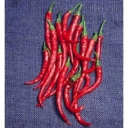 Pepper HOT Cayenne Long Slim Great Heirloom Vegetable Bulk 5,000 Seeds