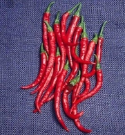 Pepper HOT Cayenne Long Slim Great Heirloom Vegetable 1,000 Seeds