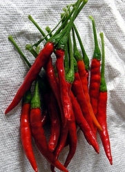 Pepper HOT Chili De Arbol Great Heirloom Vegetable 100 Seeds