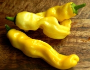 Yellow Hot Peter Pepper Seeds 10+ Nature on Viagra! Fantastic Gift ! By Hinterland Trading