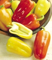 Sweet Gypsy Hybrid Pepper 15 Seeds - Yellow to Red