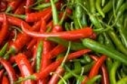 Todd's Seeds - Hot Pepper - Cayenne Long Red Thin Hot Pepper Seed, Sold by the Pound