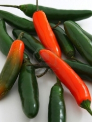 (VHP)~SERRANO HOT PEPPER~Seeds!!!!~~~~~~~For Your Hot Tamale!!!