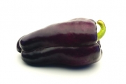 Pepper, Sweet Purple Beauty - Pepper Seeds