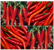 1 oz (5,000+ seeds) RED CAYENNE SLIM HOT Pepper seeds noodle pizzas hot sauces chili tacos salsa