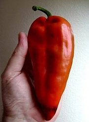 Monster Hot Chili Pepper - 10 Seeds