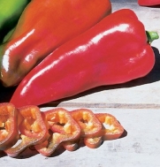 Pepper Italia, Capsicum annuum 50 Organic Hybrid Seeds by David's Garden Seeds