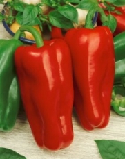 Seeds and Things 30 Marconi Italian Rosso-red Pepper Seeds