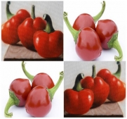 RED CHERRY HOT Pepper seeds - VERY HOT NONSTOP FRUIT - FRUITING ALL SEASON LONG - Near Perfect Round Fruits - 80 Days (0600 Seeds - 1/8 oz)