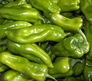 Cubanelle Pepper 20 Seeds-Frying-Green to Yellow to Red