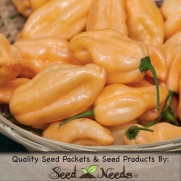 30 Vegetable Seeds, Hot Pepper Peach Habanero (Capsicum chinense) Seeds By Seed Needs
