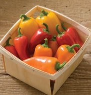 Pepper Lunchbox Mix D3515A (Orange Yellow Red) 25 Organic Seeds by David's Garden Seeds