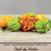 20 Seeds, Hot Pepper Mustard Habanero (Capsicum annuum) Seeds By Seed Needs