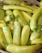 Hot Hungarian Yellow Wax Pepper - 48 Plants