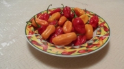 Ecuadorian Devil's Breath Rare Hot Pepper 10+ Seeds