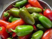 Pepper HOT Jalapeno Early Great Heirloom Vegetable 100 Seeds By Seed Kingdom
