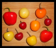 Rocoto Mix 10 Seeds Many Different Types (Red, Yellow and Orange)