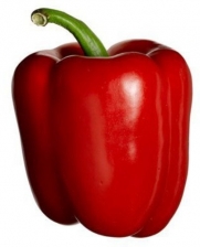 Red Bell Mercury Pepper-75 Seeds-GARDEN FRESH PACK!