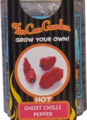Tin Can Garden- Ghost Chili Pepper