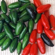 Pepper Hot Serrano Great Heirloom Vegetable 50 Seeds