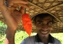 Bhut Jolokia Chile Pepper 10 Seeds-HOTTEST CHILE PEPPER by Seeds and Things