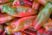 15 Cubanelle (Sweet Fryer) Heirloom Red Pepper Seeds by Seeds and Things