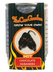 Tin Can Garden Chocolate Habanero Pepper