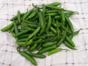 Hot Pepper Serrano Tampiqueno D46512 (Green to Red) 25 Organic Seeds by David's Garden Seeds