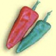 Hot Pepper Fresno DGS1996 (Red) 10 Organic Seeds by David's Garden Seeds