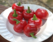(VPEPSM)~SWEET RED CHERRY PEPPER~Seeds!!~~~~~~Super Tasty!!