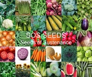10,000 Seed 30 Vegetable/Fruit Variety Garden Pack Emergency Survival Kit Food Heirloom Organic non gmo Planting
