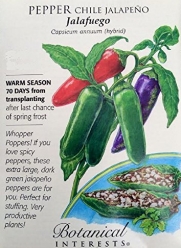 Jalafuego Jalapeno Chile Pepper Seeds - 1 gram - Botanical Interests
