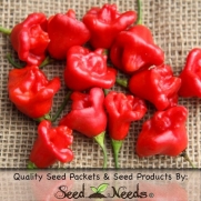 Package of 100 Seeds, Jamaican Red Hot Pepper (Capsicum chinense) Non-GMO Seeds by Seed Needs