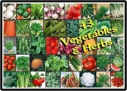 Vegetable Herb Garden Variety Lot ~Over 5,000 Fresh Seeds ~43 Varieties ~Non GMO