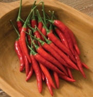 Pepper Chili Bangkok D3074 (Red) 25 Hybrid Seeds by David's Garden Seeds