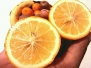 Rare Exotic♡ Tropical♡ Heirloom♡ Juicy♡ Golden Meyer Lemon♡ Fragrant Fruit Seeds