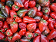 Pimento L * Sweet Pepper Seeds * Heart Shaped Peppers * 100 Count Pkt.