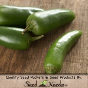 30 Seeds, Hot Pepper Jalapeno M (Capsicum annuum) Seeds by Seed Needs