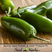 Package of 100 Seeds, Tam Jalapeno Hot Pepper (Capsicum annuum) Non-GMO Seeds by Seed Needs