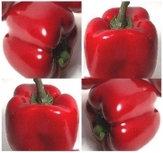 California Wonder Red Organic Sweet Pepper Seeds - Resistant to TMV - Popular Bell Pepper - 75 Days (0450 Seeds - 1/8 oz)