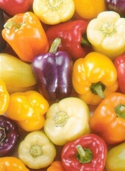Sweet Bell Pepper 50 Seeds-Red,Gold,Purple,Orange,White