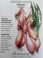Zebrune Shallot Onion Seeds - 350 mg
