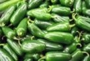 Todd's Seeds - Hot Pepper - Jalapeno M Hot Pepper Seed, Sold by the Pound