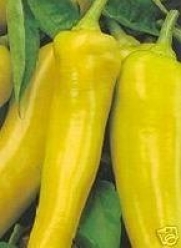 Pepper Sweet Banana Great Heirloom Vegetable 100 Seeds By Seed Kingdom by seed kingdom