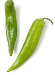 Todd's Seeds Anaheim Chili Hot Pepper Heirloom Seed