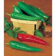 Mild Hot Pepper Anaheim Chili 30 Seeds (Capsicum annuum) Great for the Grill