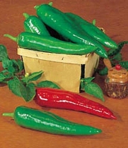 Pepper HOT Anaheim Chili Great Heirloom Vegetable BULK 1 Lb Seeds