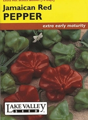 Jamaican Red Pepper Seeds - 200 mg