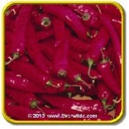 1/4 Lb - 'Small Red Chili' - Bulk Hot Pepper Seeds