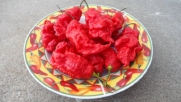 Jay's Red Ghost Scorpion Dried 6 Chile Peppers